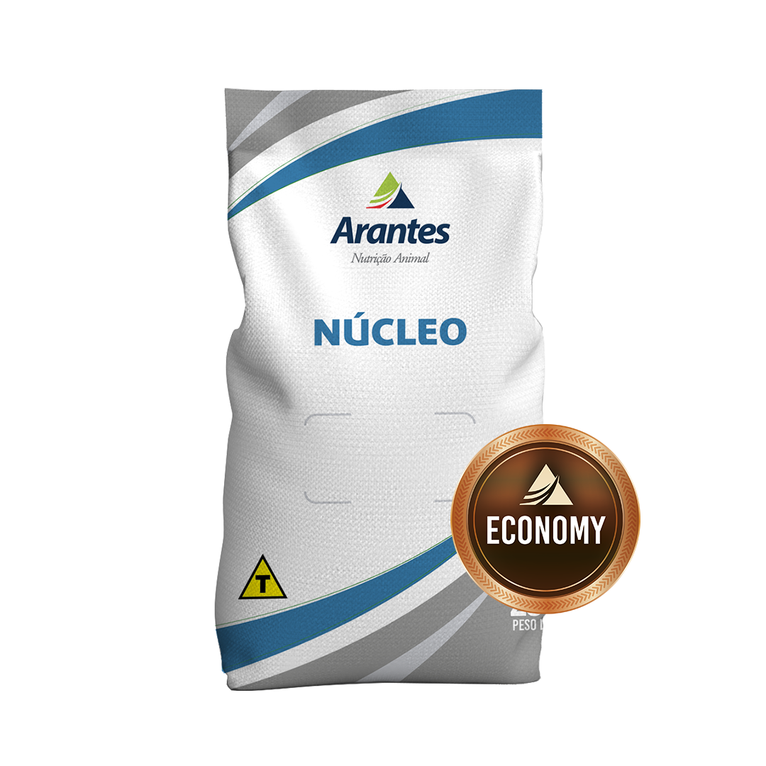 Núcleo Economy